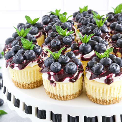 BLUEBERRY CHEESE CAKE